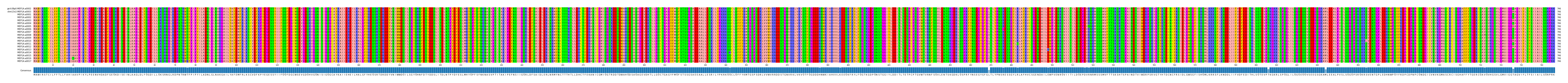 Multiple Alignments (by translate haplotype frequency)