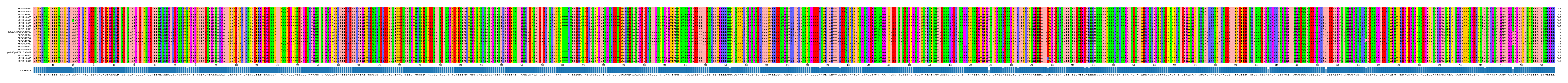 Multiple Alignments (by translate haplotype similarity)