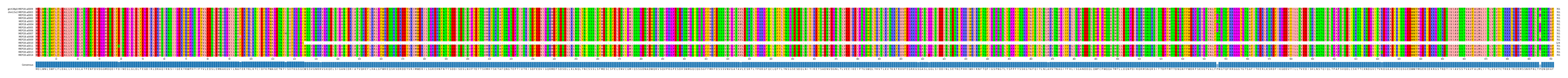 Multiple Alignments (by translate haplotype frequency)