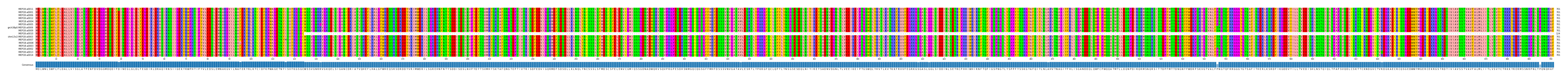 Multiple Alignments (by translate haplotype similarity)