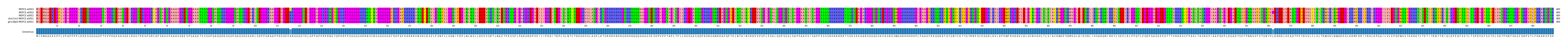 Multiple Alignments (by translate haplotype similarity)