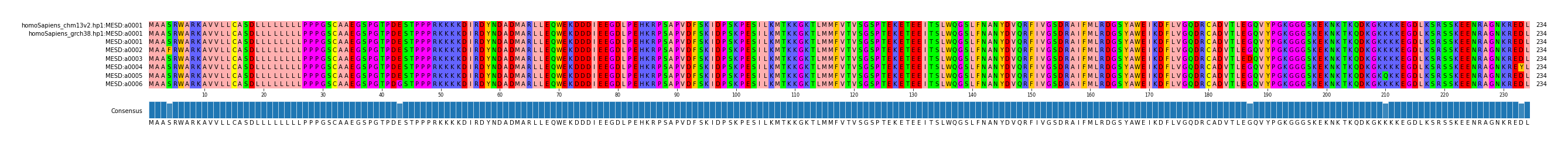 Multiple Alignments (by translate haplotype frequency)