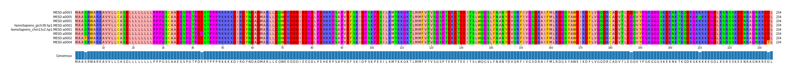 Multiple Alignments (by translate haplotype similarity)