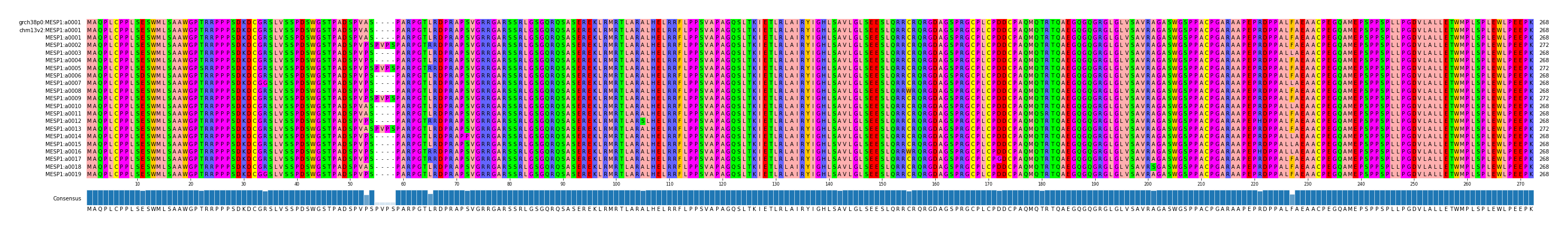 Multiple Alignments (by translate haplotype frequency)