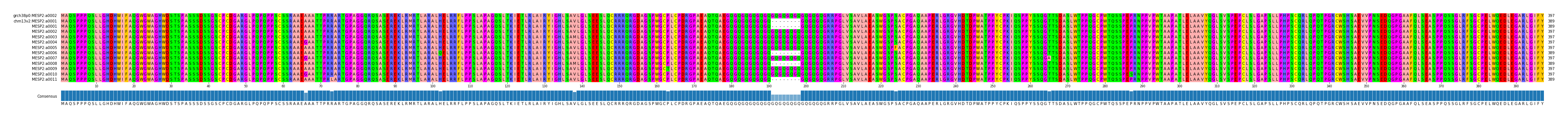 Multiple Alignments (by translate haplotype frequency)