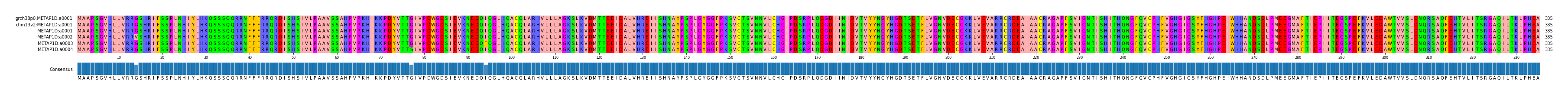 Multiple Alignments (by translate haplotype frequency)