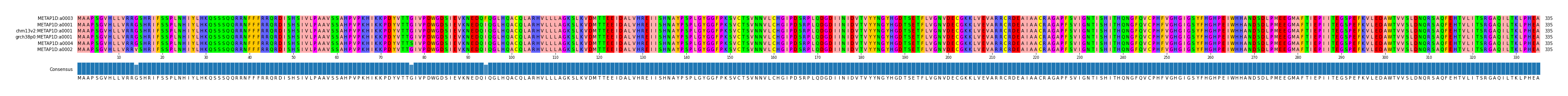 Multiple Alignments (by translate haplotype similarity)