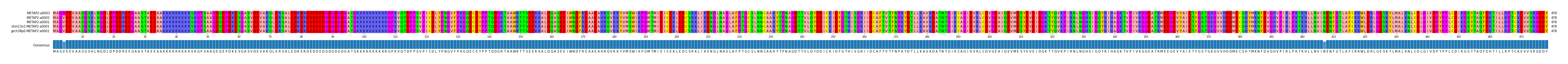 Multiple Alignments (by translate haplotype similarity)
