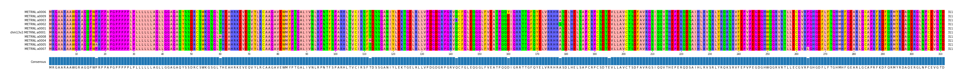 Multiple Alignments (by translate haplotype similarity)