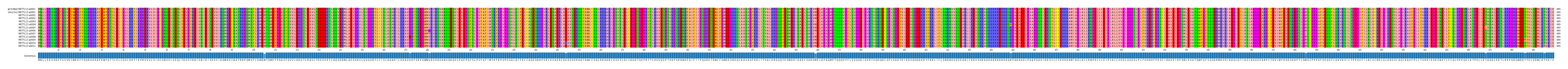 Multiple Alignments (by translate haplotype frequency)