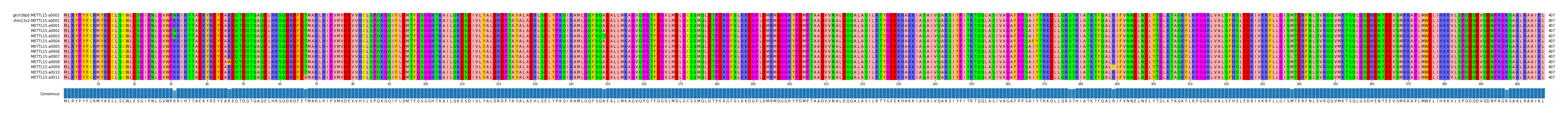 Multiple Alignments (by translate haplotype frequency)