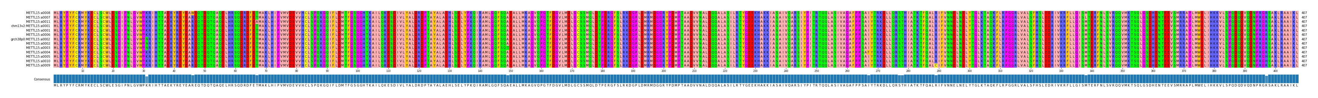 Multiple Alignments (by translate haplotype similarity)