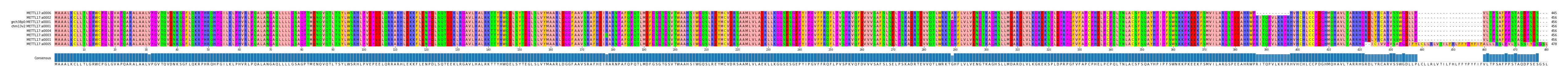 Multiple Alignments (by translate haplotype similarity)