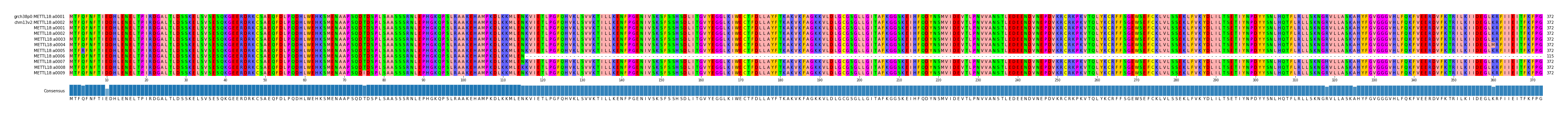 Multiple Alignments (by translate haplotype frequency)