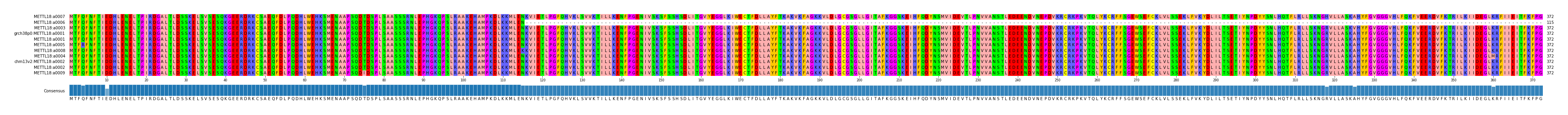 Multiple Alignments (by translate haplotype similarity)