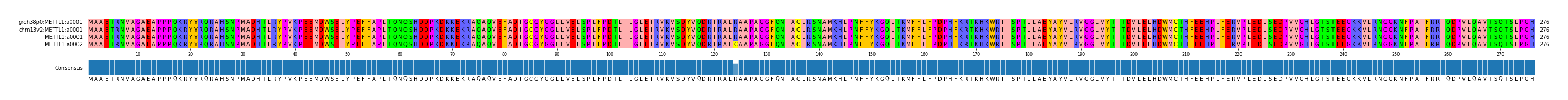 Multiple Alignments (by translate haplotype frequency)