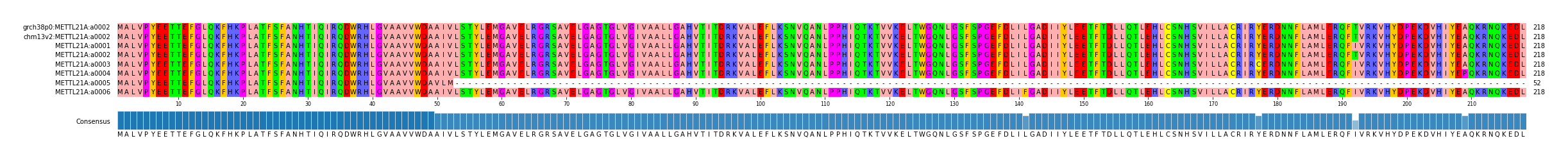 Multiple Alignments (by translate haplotype frequency)