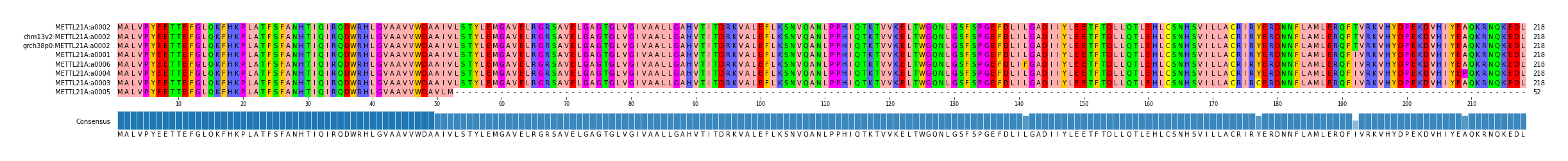 Multiple Alignments (by translate haplotype similarity)