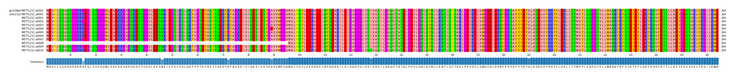 Multiple Alignments (by translate haplotype frequency)