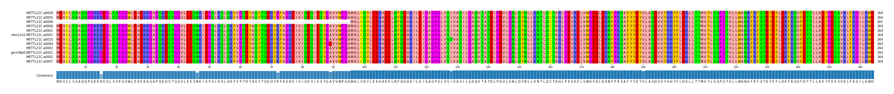 Multiple Alignments (by translate haplotype similarity)