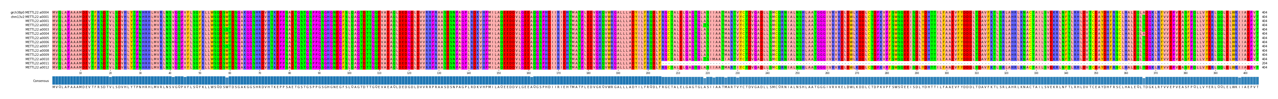 Multiple Alignments (by translate haplotype frequency)