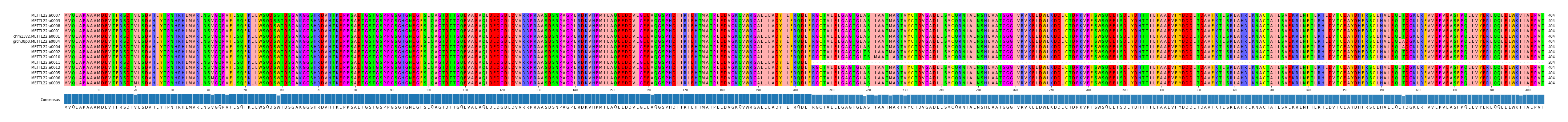 Multiple Alignments (by translate haplotype similarity)