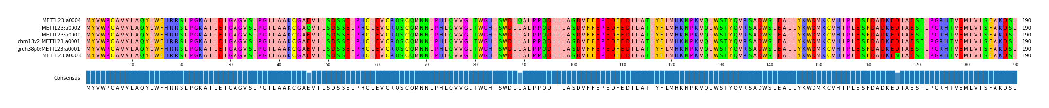 Multiple Alignments (by translate haplotype similarity)