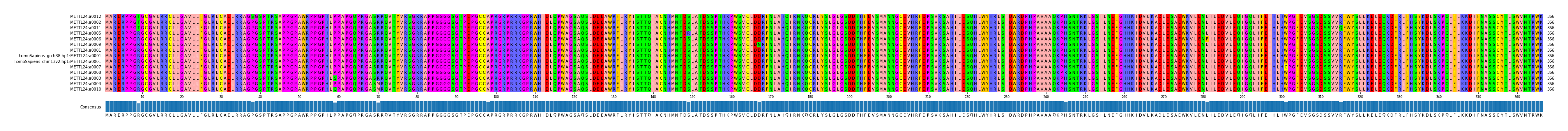 Multiple Alignments (by translate haplotype similarity)