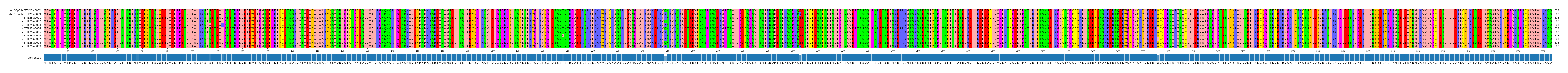 Multiple Alignments (by translate haplotype frequency)