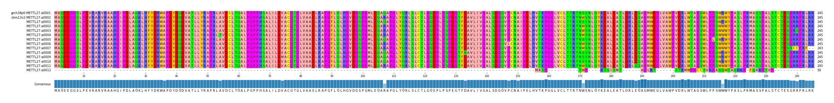 Multiple Alignments (by translate haplotype frequency)