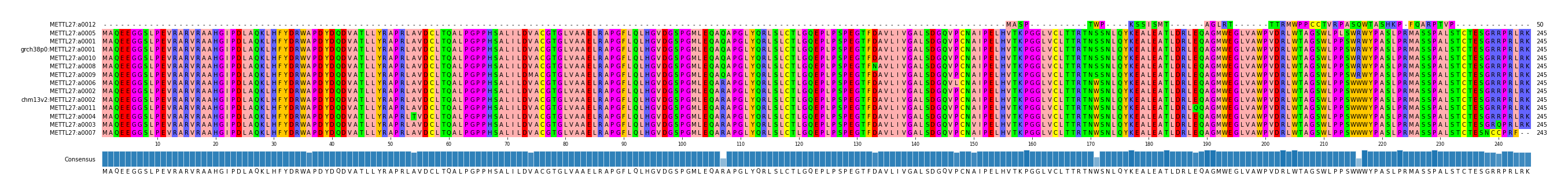 Multiple Alignments (by translate haplotype similarity)
