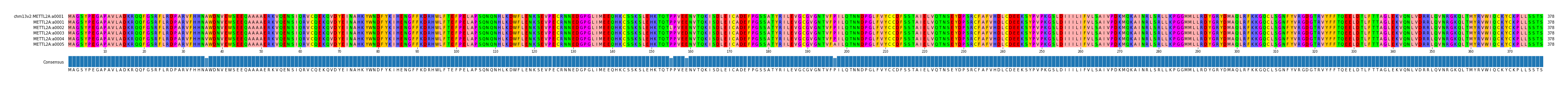 Multiple Alignments (by translate haplotype frequency)