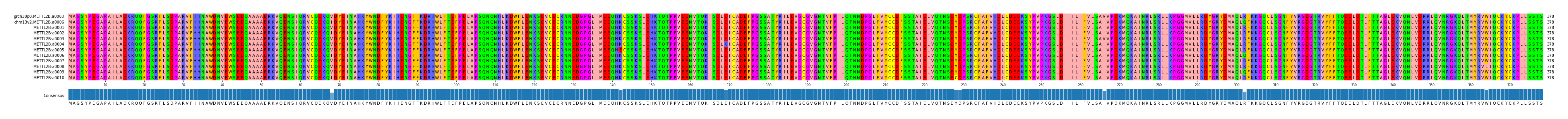 Multiple Alignments (by translate haplotype frequency)