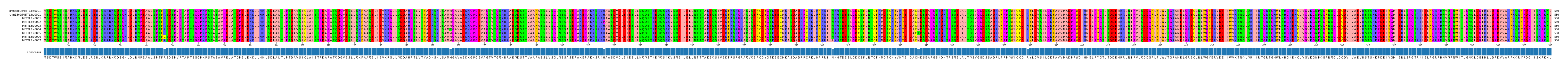 Multiple Alignments (by translate haplotype frequency)