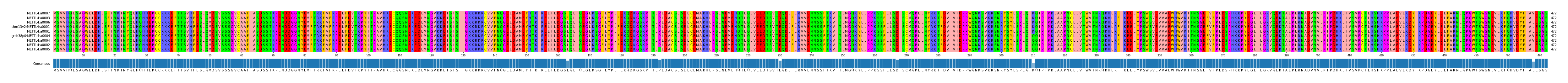 Multiple Alignments (by translate haplotype similarity)