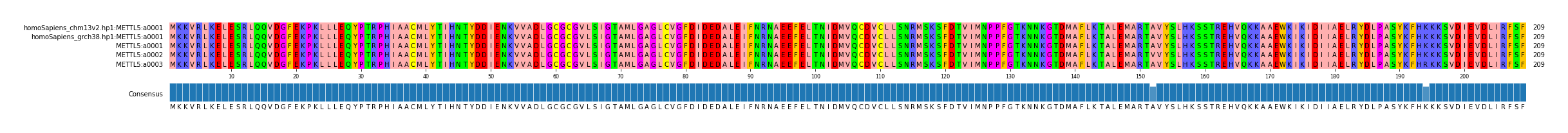 Multiple Alignments (by translate haplotype frequency)