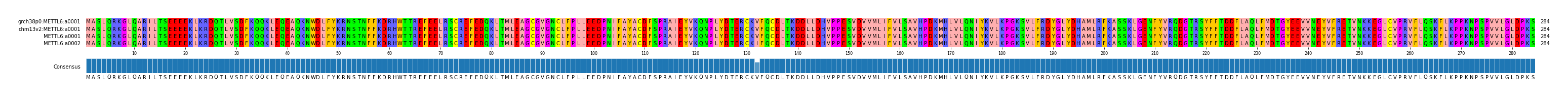 Multiple Alignments (by translate haplotype similarity)