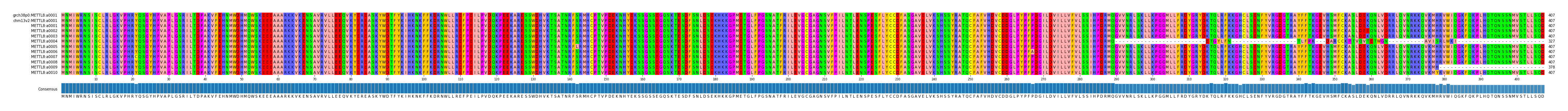 Multiple Alignments (by translate haplotype frequency)