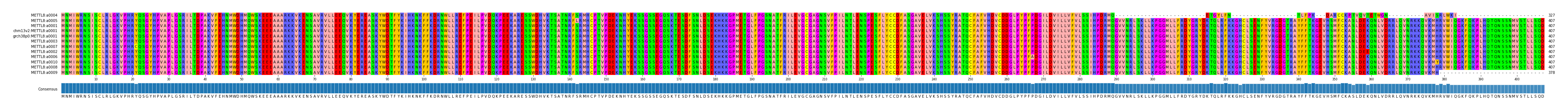 Multiple Alignments (by translate haplotype similarity)