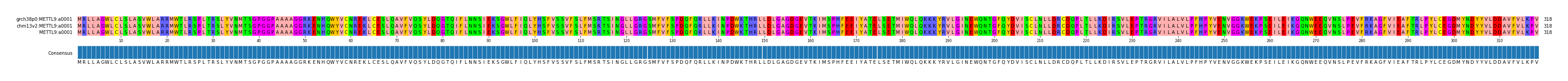 Multiple Alignments (by translate haplotype similarity)