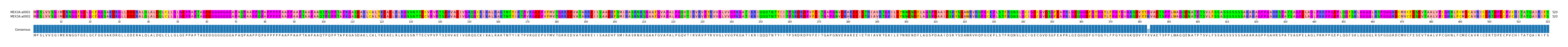 Multiple Alignments (by translate haplotype frequency)