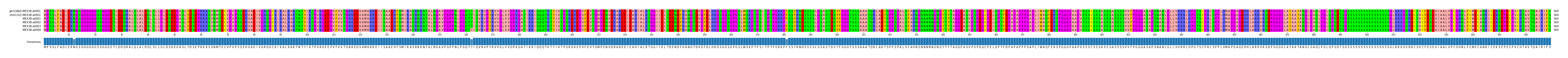 Multiple Alignments (by translate haplotype frequency)