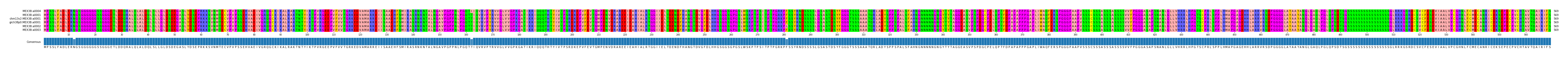Multiple Alignments (by translate haplotype similarity)