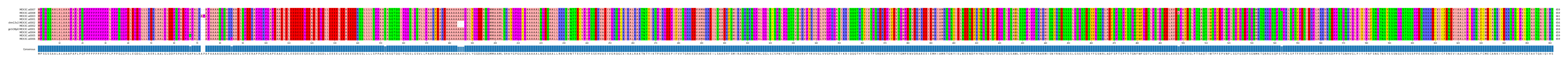 Multiple Alignments (by translate haplotype similarity)
