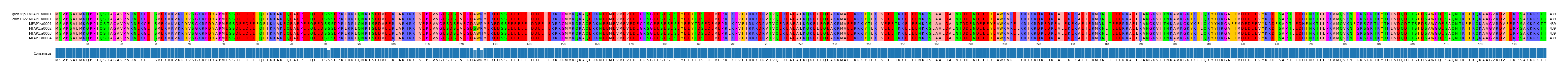 Multiple Alignments (by translate haplotype frequency)