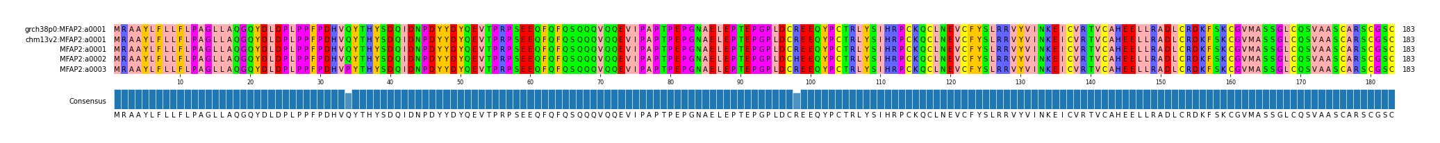 Multiple Alignments (by translate haplotype frequency)