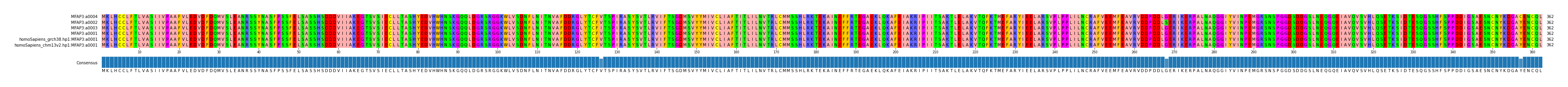 Multiple Alignments (by translate haplotype similarity)