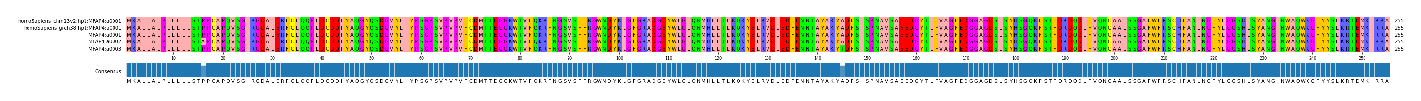 Multiple Alignments (by translate haplotype frequency)