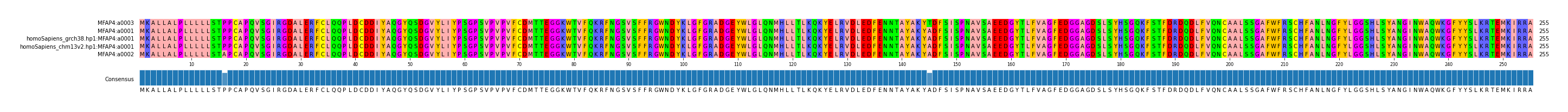 Multiple Alignments (by translate haplotype similarity)