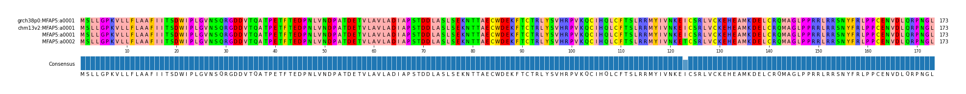 Multiple Alignments (by translate haplotype similarity)